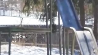 Funny Panda Viral Video 13