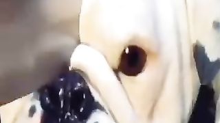 Sagawa1gou_funny_video_????????????___SAGAWA_Best_Shorts_2023_#shorts(360p)(5).