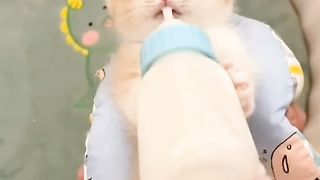 Meongnya kok minta cucu