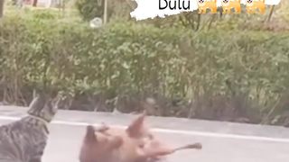 Guling2 aja dulu yah gug