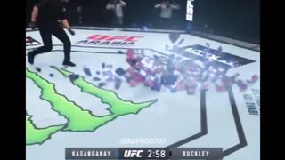 Coldest UFC knockout in history - MMA - HEAD KICK