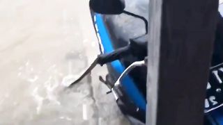 Meresahkan????????????????