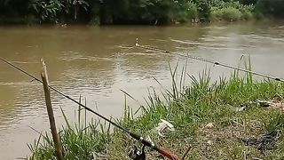 Liburan mencari ikan
