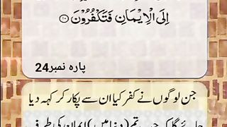 Sura Al Momin ll verse 10