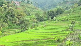 Good morning indonesian