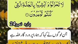 Allah hamain Istiqamat naeeb farma ain