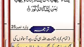 Verse 49 ll Sura Ash Shoora