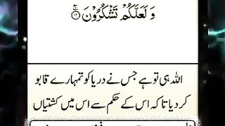 Sura Al Jasiya