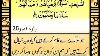 Verse 21 ll Al Jasiya