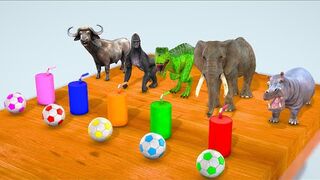 Cow Mammoth Elephant Gorilla Hippo Choose Right Drink CHALLENGE Wild Animals Funny Game