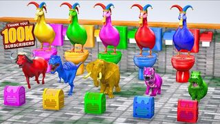 5 Giant Duck Cartoon With Paint Wild Animals Choose The Right BOX CHALLENGE Skibidi Toilet (1)