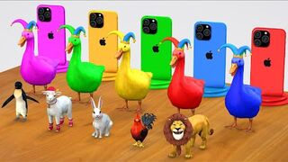 5 Giant Duck Cartoon, Elephant, Cow, Dinosaur, Tiger, Paint Wild Animals Crossing Fountain Animation.