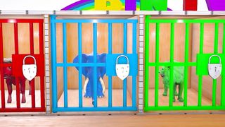 Cow Elephant Gorilla Tiger Lion Duck _ Choose The Right Key ESCAPE ROOM CHALLENGE Animals Cage Game.