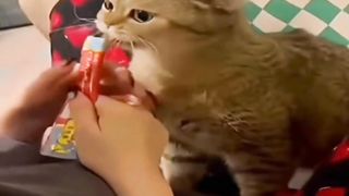 Wait for the end???? 3