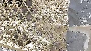 Gurs well in Madina