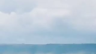 The birds to survive