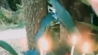 Ga jadi ngerayain deh