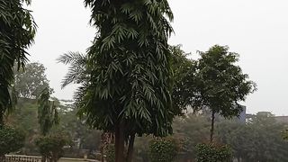 Marvelous nature and beauty view