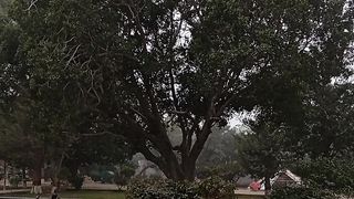 Amazing nature and beauty view
