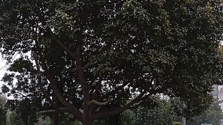 Great nature and beauty view