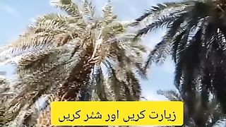 Ziyarat karain