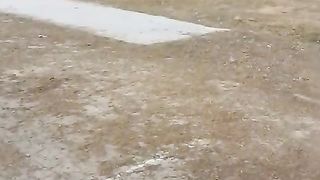 Good morning hmc warrior's cricket