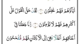 Surah Yaseen 6