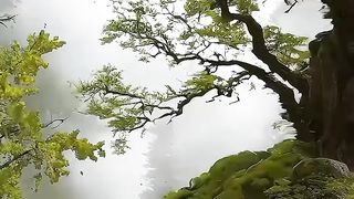 Winter video 3