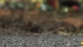Amazing videos vol 189