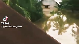 Banjir meluap sampai atap rumah
