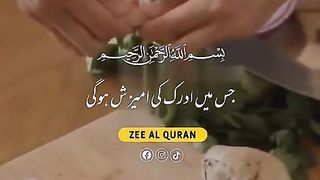 New Whatsapp status