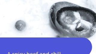 what the best Mexican food ?