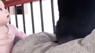 Кошки и дети