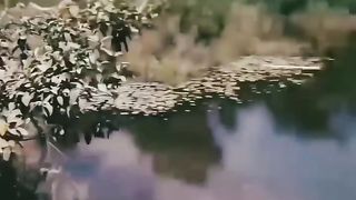 the end ???????????? #shorts #shortvideo  #funny #fails #comedytv #humor