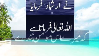 Hadees Mubarak| today hadees | daily hadees | hadees sharif|  quote|  Whatsapp status