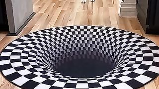 Dogs_funny_reaction_to_entering_optical_illusion_rug!_#shorts (360p).