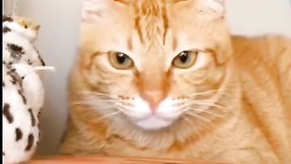Funny action 47