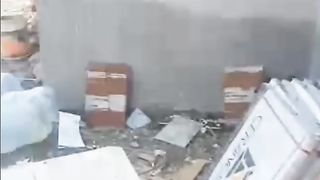 mencari kucing sampai ke kamar tetangga