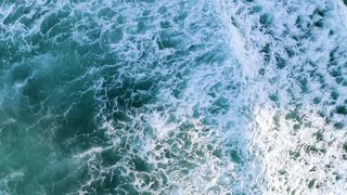 "Surf Symphony: Dancing with the Waves"