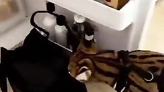 Funny_animals_2023????_-_Funniest_Cats_and_Dogs_Video????????298_#shorts(360p).