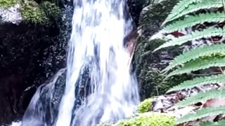 Beautiful nature 147