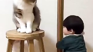 Funny_animals_2023????-_Funny_cats_and_dogs_videos_????????_P-36_#shorts(360p).