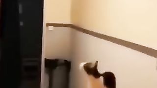 Funny_Animal_Videos_Of_The_Day_0064!_????????_#fyp_#memes_#memedaily_#dankmemes(360p).