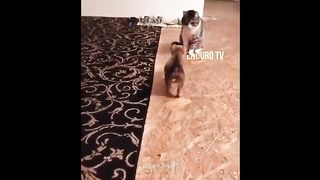 Ngakak Part 13