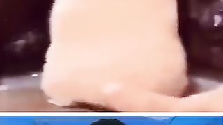 Funny_Animals_????_#16 (360p).
