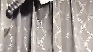 Funny_animals_2023????_-_Funniest_Cats_and_Dogs_Video????????268_#shorts(360p).