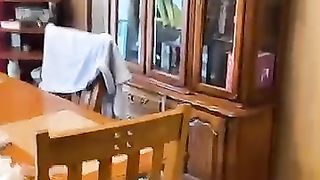 Funniest_Pet_Fails_????_????(360p).
