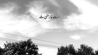 Poetry 447