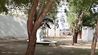 Kotri berrage