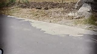 Perjalanan 9
